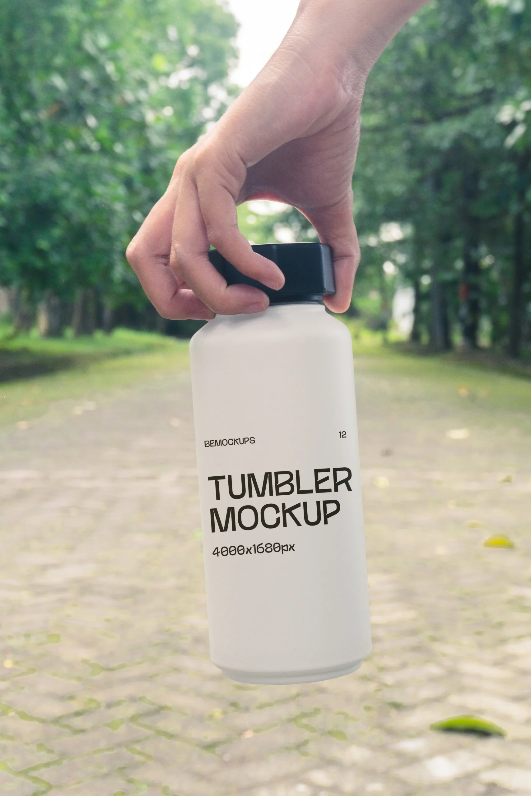 Dry Pole Collection - 6 Mockups - Image 4