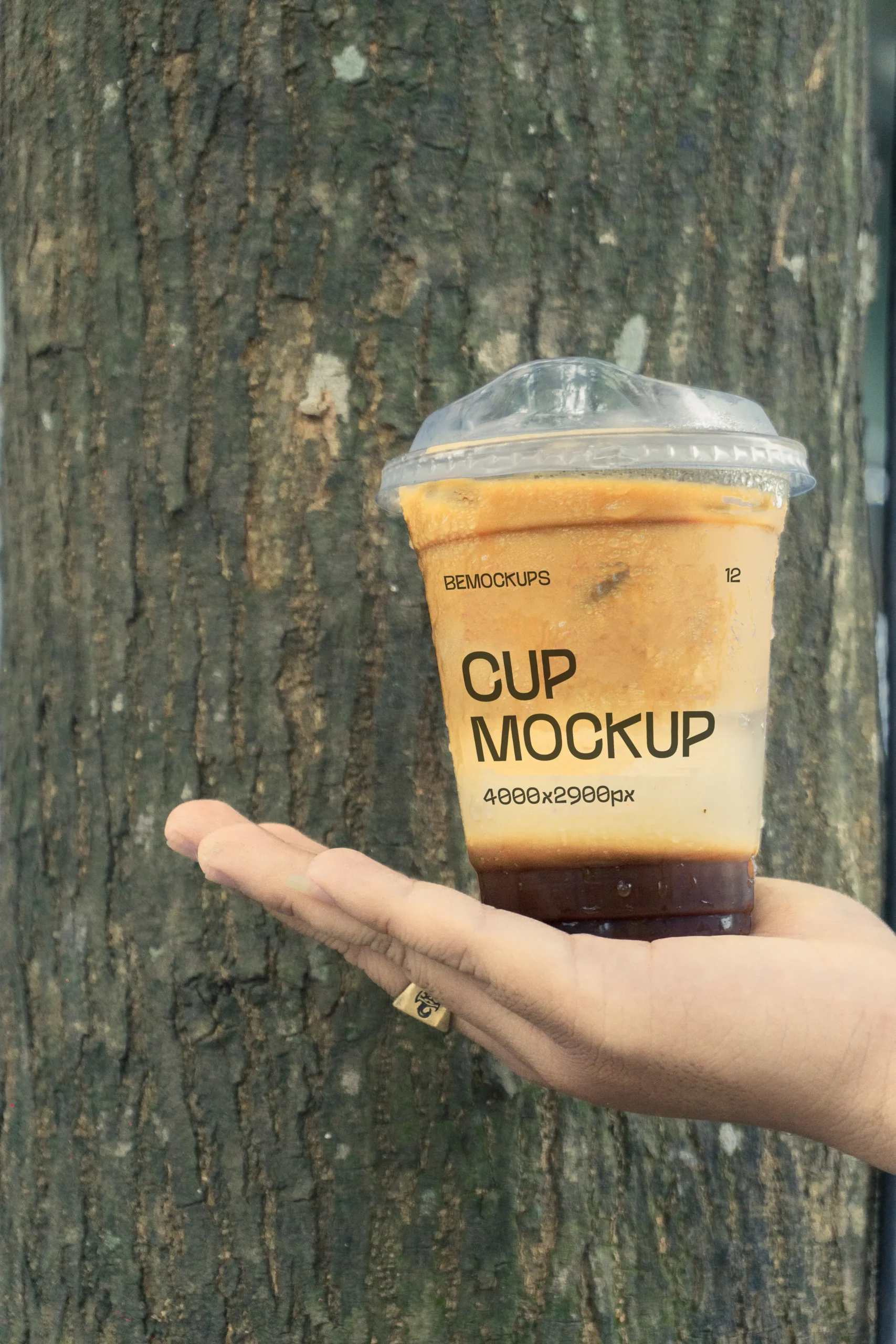 Aleale Collection - 6 Mockups - Image 6